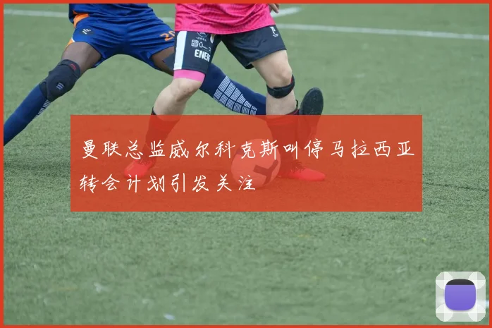 曼联总监威尔科克斯叫停马拉西亚转会计划引发关注