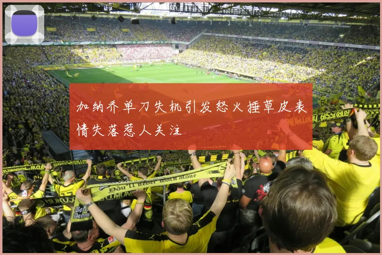 加纳乔单刀失机引发怒火捶草皮表情失落惹人关注