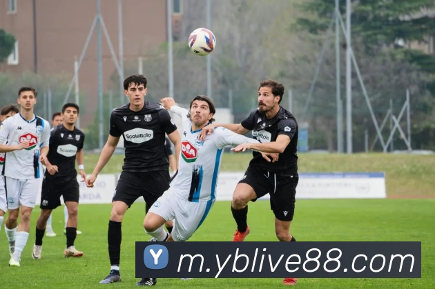 友博体育发展历程